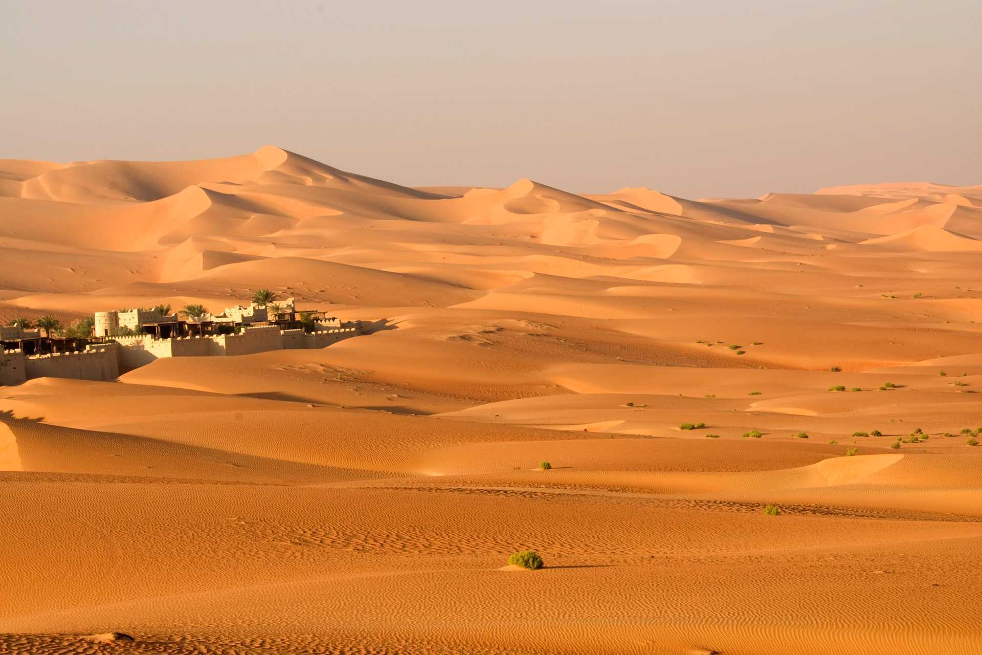 Ørkensafari i Abu Dhabi
