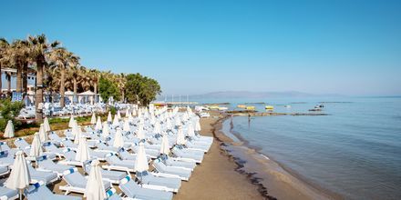 Strand i Agia Marina på Kreta, Grekland.