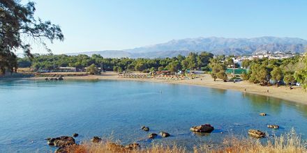 Stranden i Agii Apostoli på Kreta.