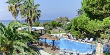 Poolen på hotell Alkyon Beach i Naxos stad, Grekland.