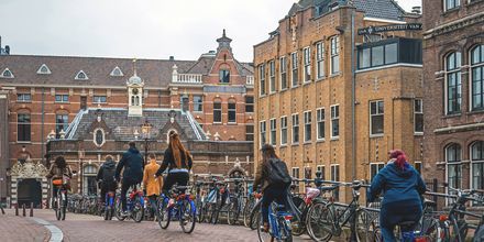 Att cykla är det vanligaste transportmedlet i Amsterdam, Holland.
