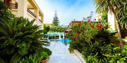 Poolområdet på hotell Anais Holiday i Agii Apostoli på Kreta, Grekland.