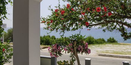 Hotell Angela Beach i Votsalakia på Samos, Grekland.