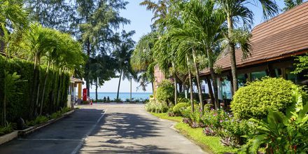 Vägen ner till stranden från Apollos hotell Aonang Princeville Villa Resort & Spa.