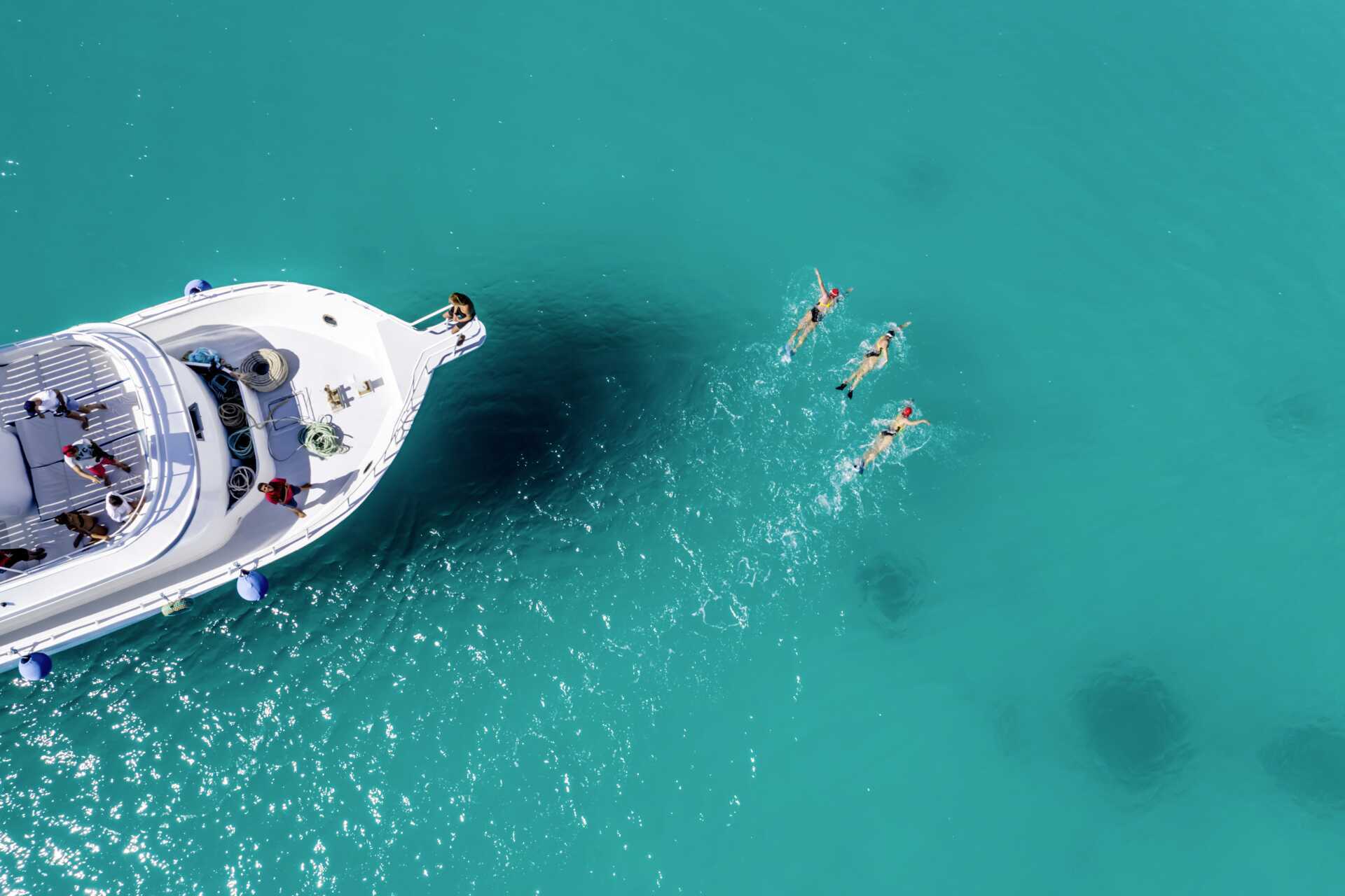 Röda Havet är perfekt för simträning.