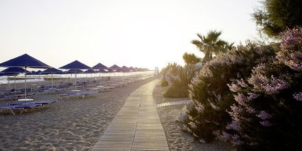 Stranden vid hotell Aquila Rithymna Beach på Kreta, Grekland.