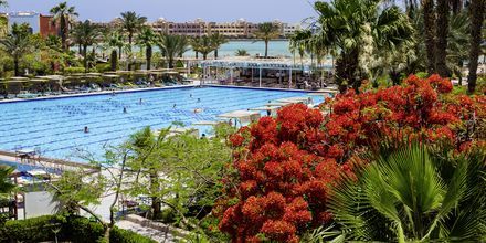 Pool på hotell Arabia Azur Resort i Hurghada, Egypten.