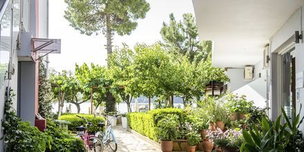 Hotell Armeno Beach på Lefkas, Grekland.