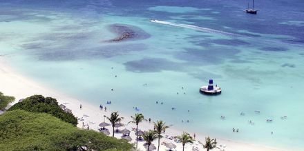 Välkommen till Aruba! Här väntar vita sandstränder, turkosblått vatten och tropiska växter.