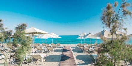 Stranden vid hotell Atlantis Beach i Rethymnon, Kreta.