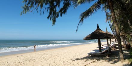 Stranden vid hotell Bamboo Village Resort i Phan Thiet, Vietnam.