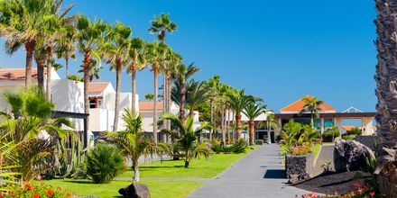 Hotell Barcelo Castillo Beach Resort på Fuerteventura.