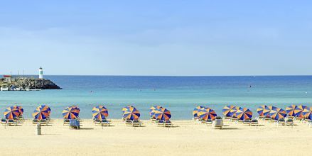Stranden vid hotell Barcelo Castillo Beach Resort på Fuerteventura.