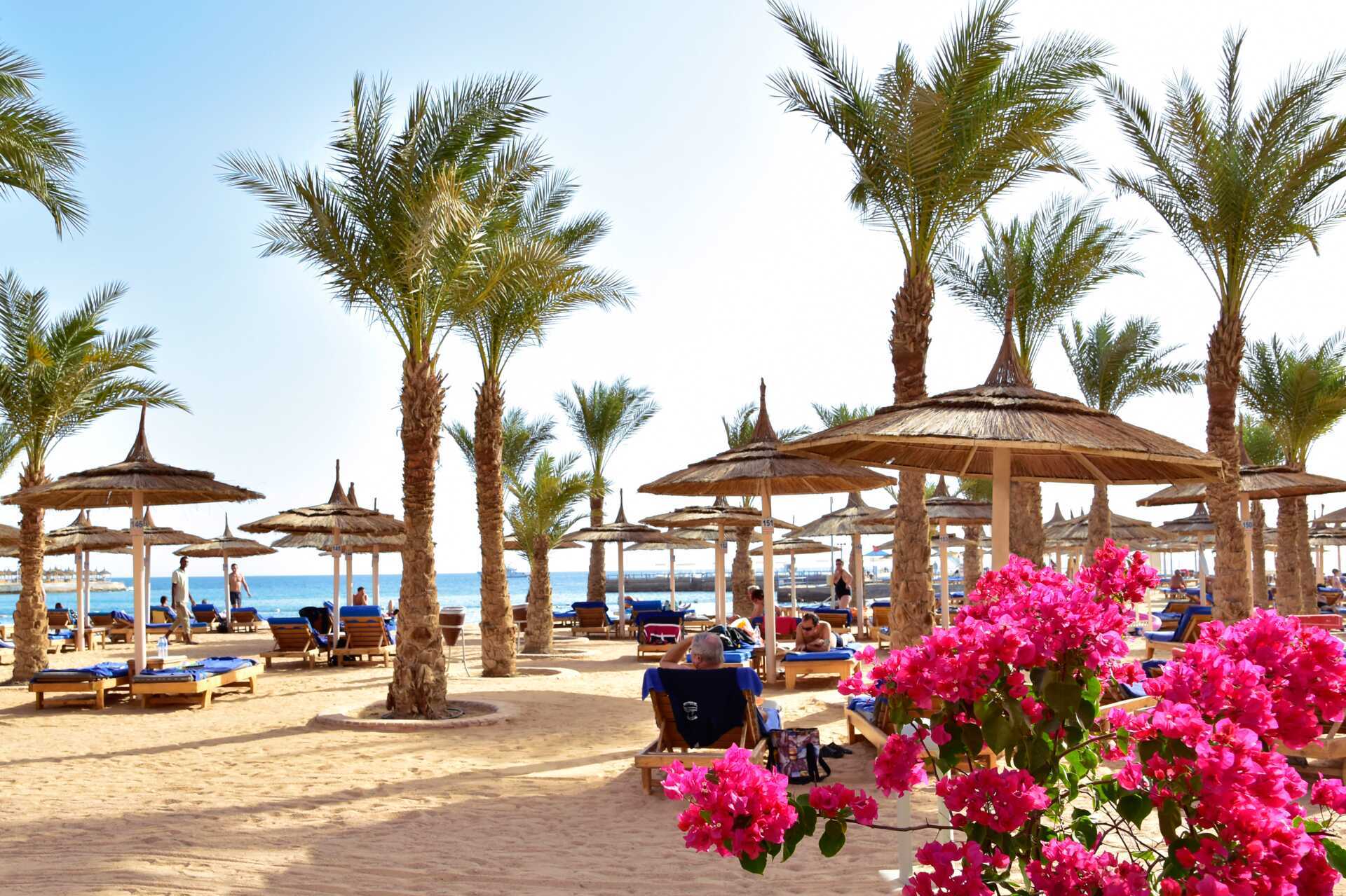 Stranden vid hotell Beach Albatros Resort i Hurghada, Egypten.