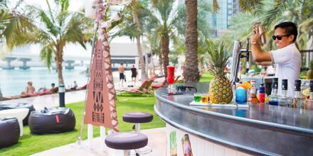 Bar på hotell Beach Rotana Abu Dhabi i Förenade Arabemiraten.