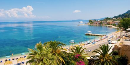 Stranden vid hotell Potamaki Beach i Benitses på Korfu, Grekland.