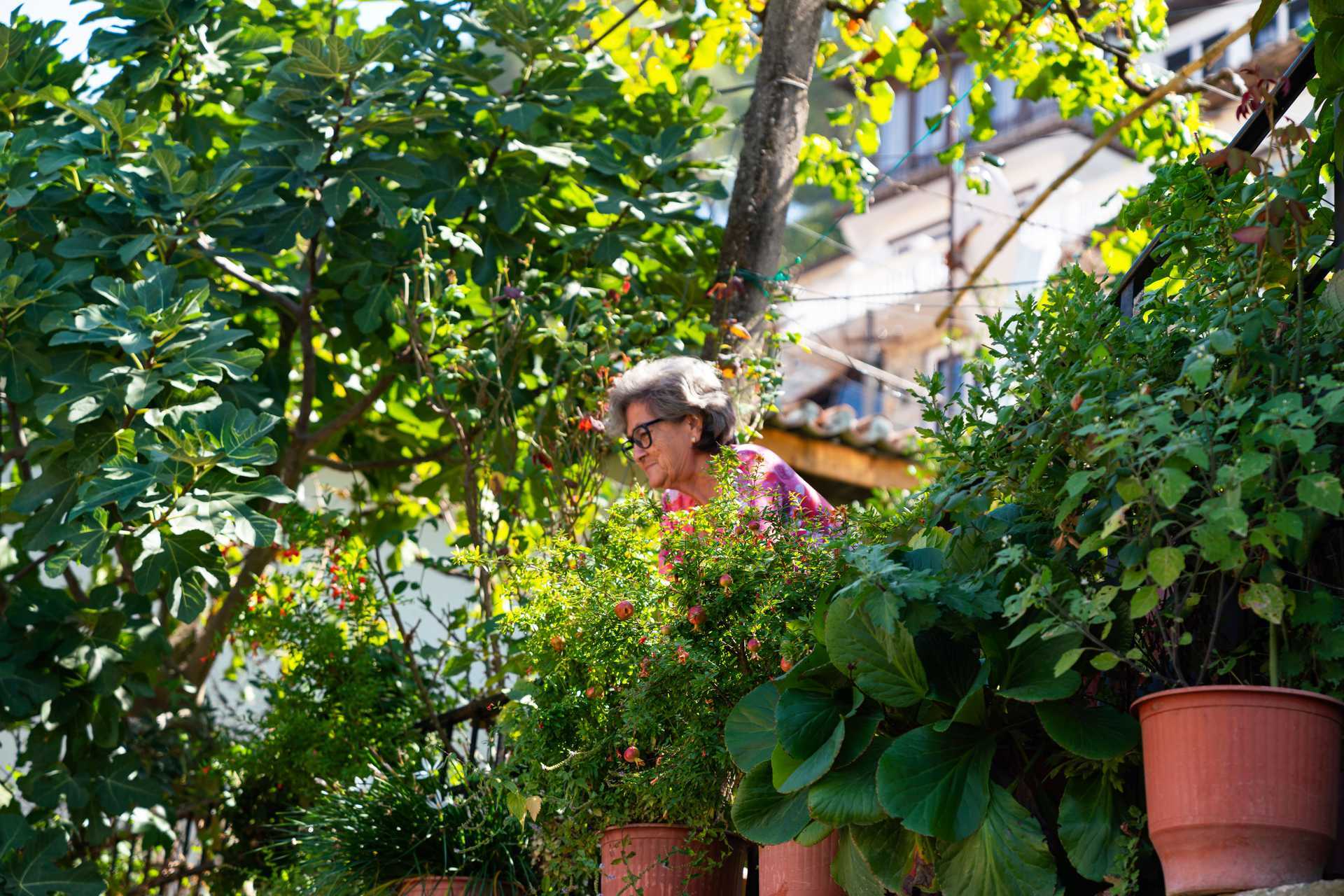 Grönskande Berat i Albanien.