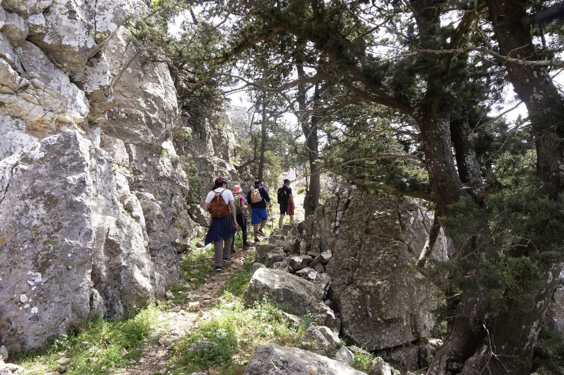 Bergsvandring - Akramitis