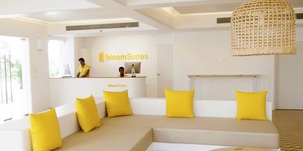 Bloom Suites