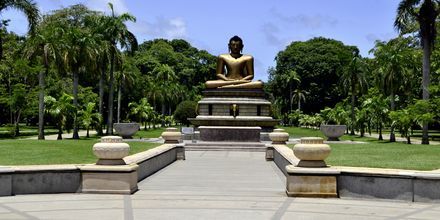 Viharamahadevi Park i Colombo, Sri Lanka.