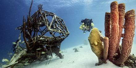 Curaçao är en av världens bästa dykdestinationer.