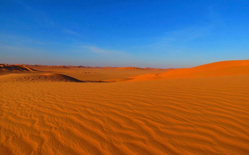 Desert Safari
