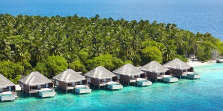 Dusit Thani Maldives - vinter 23/24 & sommar 2024
