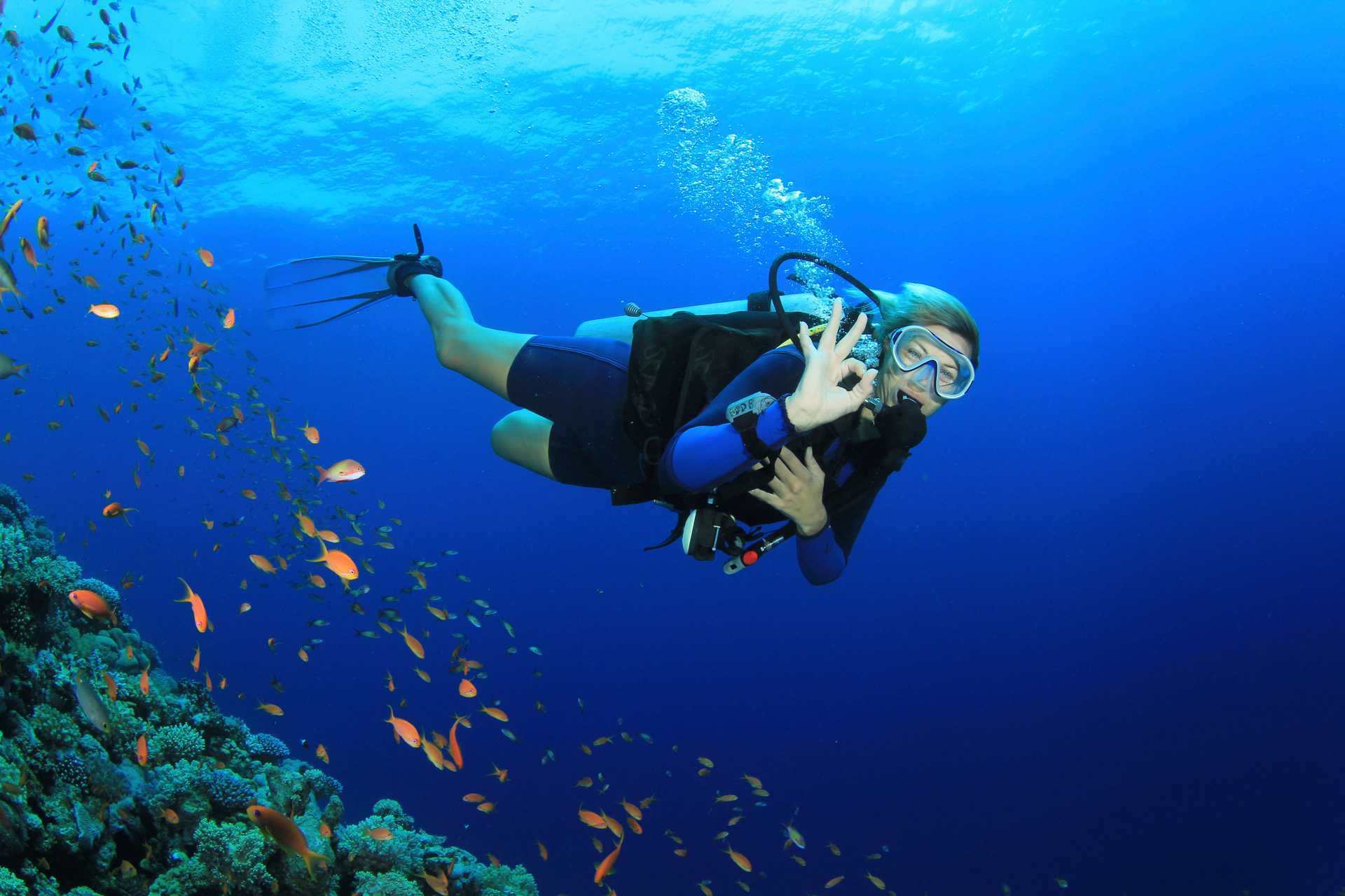 Dykcertifikat - Open Water Diver