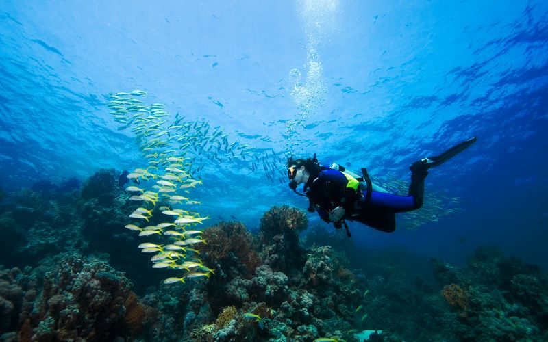 Dykkurs - Advanced Open Water Dive