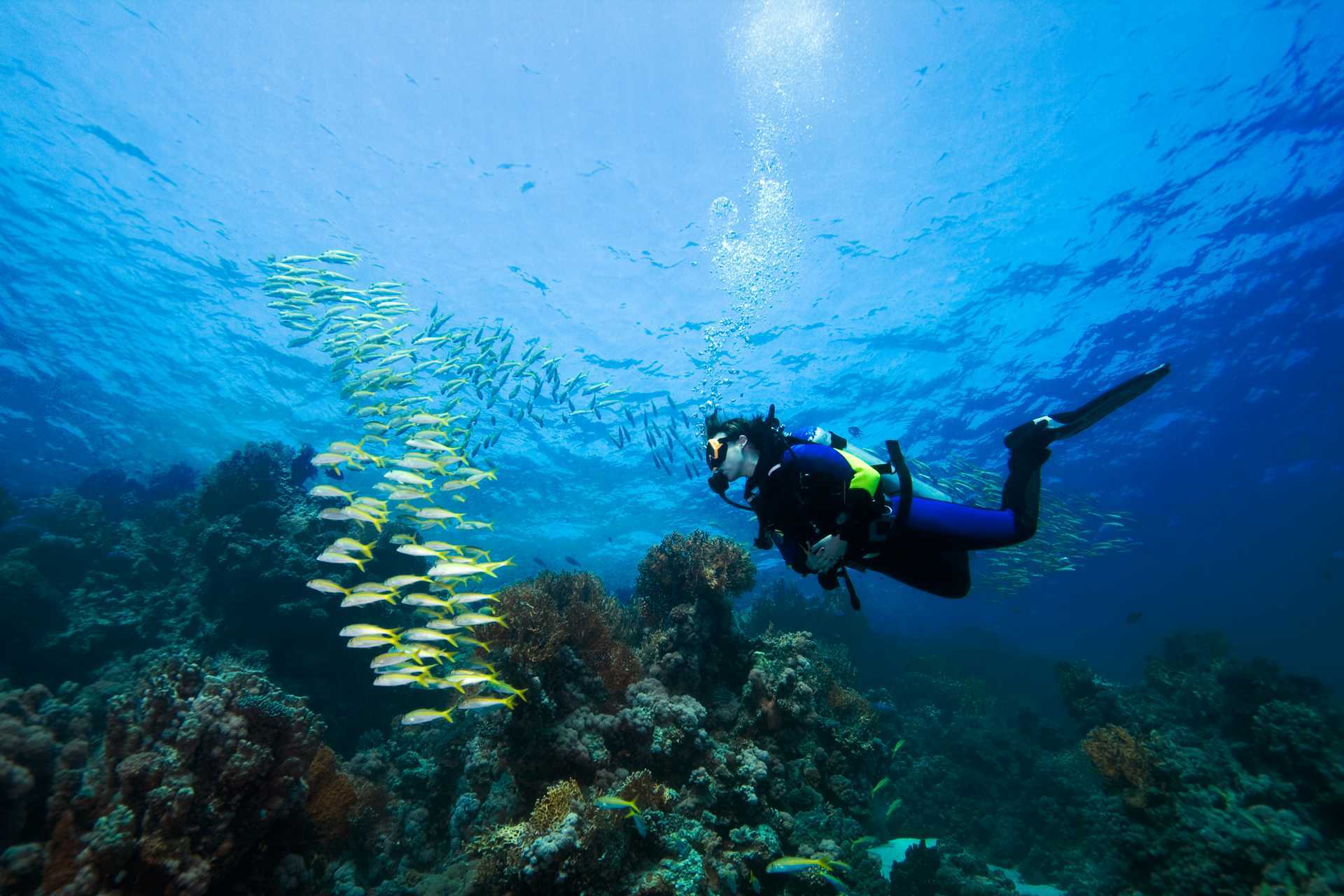 Dykkurs - Advanced Open Water Dive