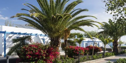 Elba Lanzarote Royal Village Resort i Playa Blanca.