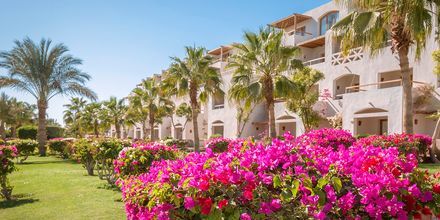 Hotell Fort Arabesque Resort, Spa & Villas i Makadi Bay, Egypten.