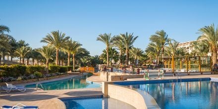 Poolområde på hotell Fort Arabesque Resort, Spa & Villas i Makadi Bay, Egypten.