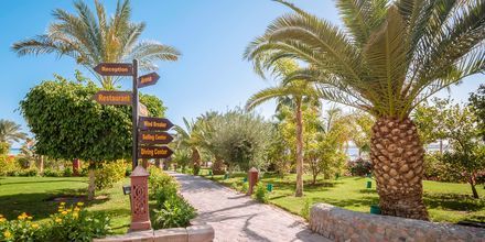 Hotell Fort Arabesque Resort, Spa & Villas i Makadi Bay, Egypten.
