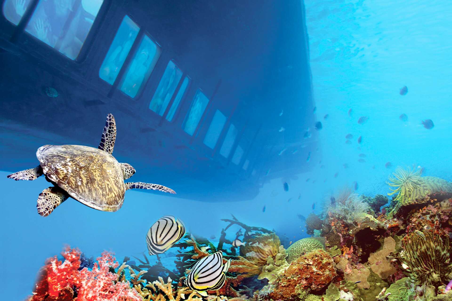 Glasbottenbåt - upptäck Röda havet under ytan