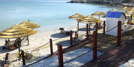 Stranden vid hotell Glicorisa Beach i Pythagorion, Samos.