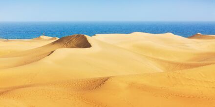 Sanddynerna i Maspalomas på Gran Canaria, Spanien.