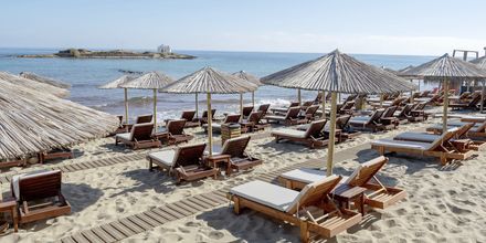 Stranden vid hotell High Beach i Malia på Kreta, Grekland.