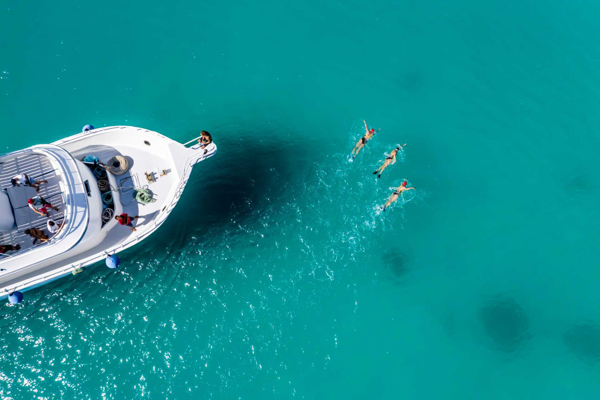 Röda Havet är perfekt för simträning.