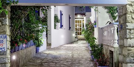 Hotell Ilias på Alonissos, Grekland.