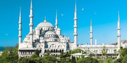 Den Blå Moskén i Istanbul
