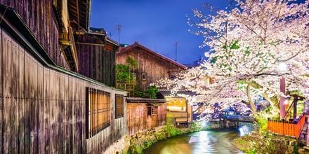 Floden Shirakawa i Kyoto, Japan.