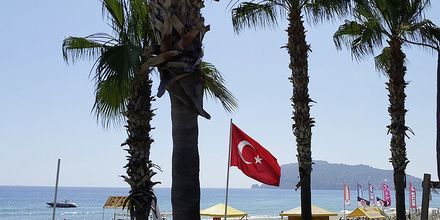 Stranden vid hotell Kaila Beach i Alanya, Turkiet.