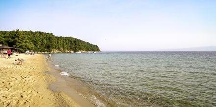 Vromolimnos beach på Kanapitsa-halvön, Skiathos.