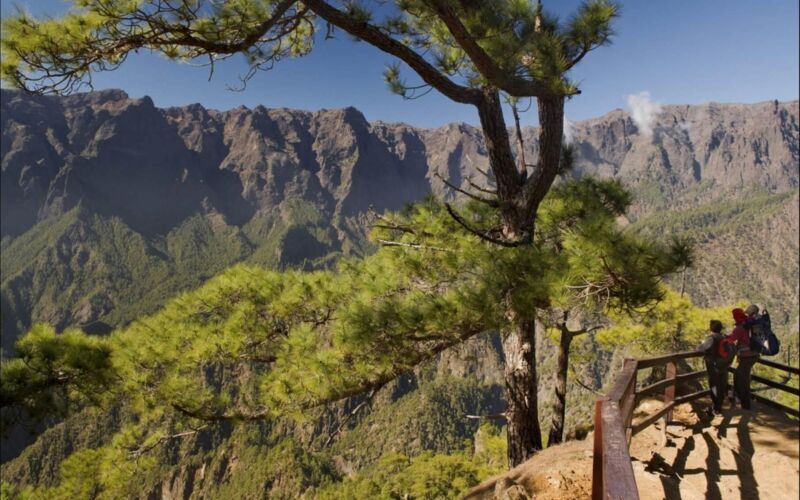 Kanarieöarnas gömda pärla - La Palma