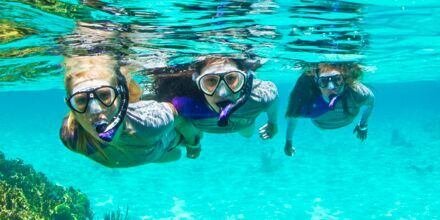 Boka någon av Apollos snorkelutflykter.