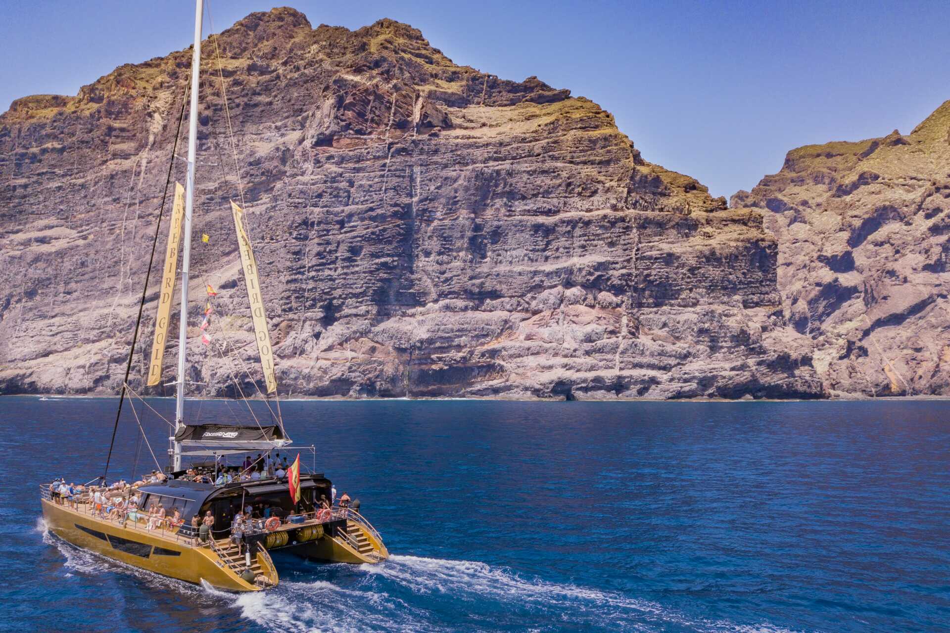 Katamarantur till de mäktiga klipporna Los Gigantes