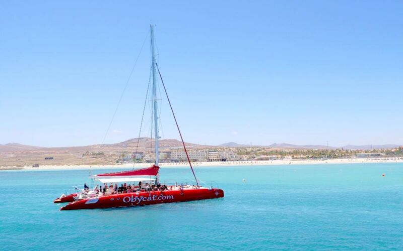 Katamaranutflykt till Isla de Lobos