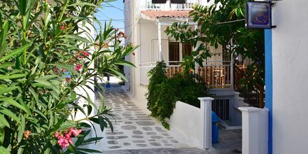 Hotell Katerina i Pythagorion på Samos, Grekland.