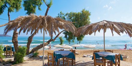 Slå dig ner vid en taverna vid stranden i Kato Stalos på Kreta, Grekland.